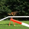 agility 2011-08